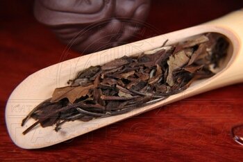 Шоу мэй «Брови старца»