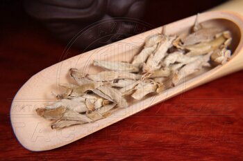 Я Бао (почки пуэрного дерева)